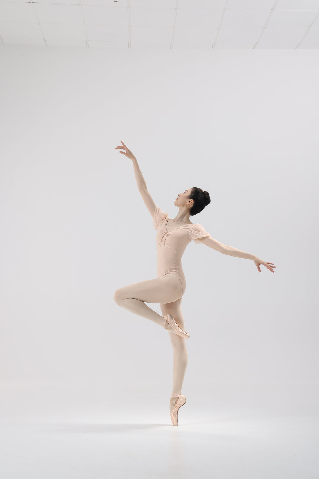 Shell Pink Mesh Puff Sleeve Ballet Leotard