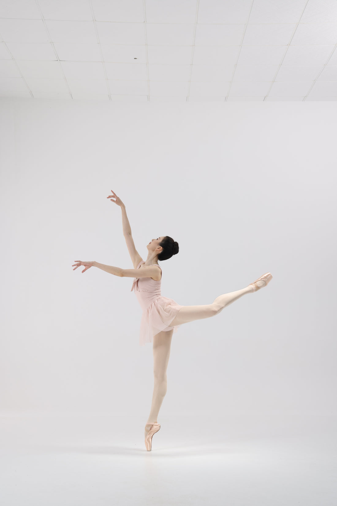 Porcelain Pink Mesh Back Ballet Leotard product image 6